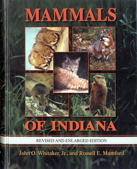 Mammals Of Indiana Revised And Enlarged Edition By John O Whitaker Jr