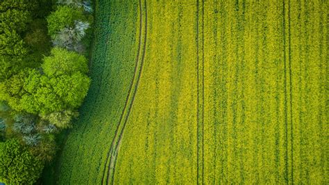 Aerial Photography Of Wide Green Grass Field · Free Stock Photo
