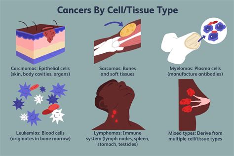 Types Of Cancer A Comprehensive Guide To Different Forms Ask The