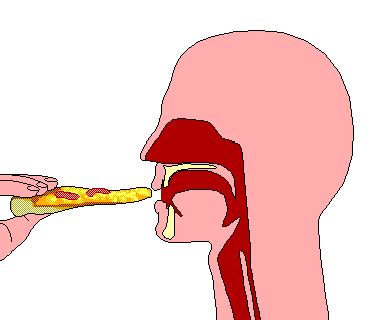 Dysphagia Patient Information Stroke Engine