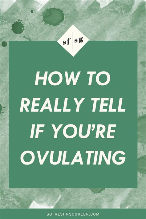 How To Really Tell If You Re Ovulating Best Fertility Awareness Methods