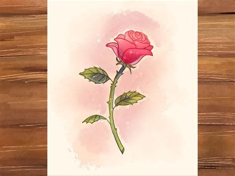 How To Draw A Rose Como Dibujar Una Rosa Dibujos Faciles Easy Art