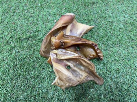 Pig ears for dogs are mostly blanched, dried, and then dehydrated. Pigs Ears | Maggie's Pet Store, Great Moor, Stockport