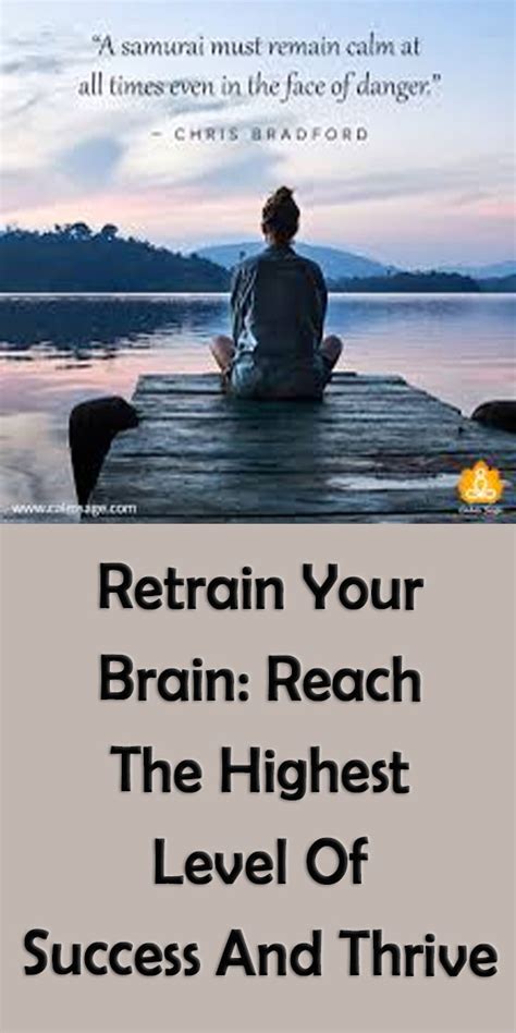 Retrain Your Brain Reach The Highest Level Of Success And Thrive