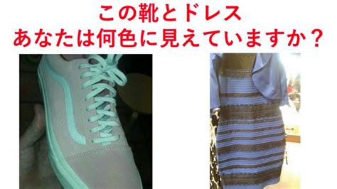 The latest tweets from 獅白ぼたん♌ホロライブ5期生 (@shishirobotan). 2つの色に見える不思議な靴とドレス | 桜井翔平 Official Blog