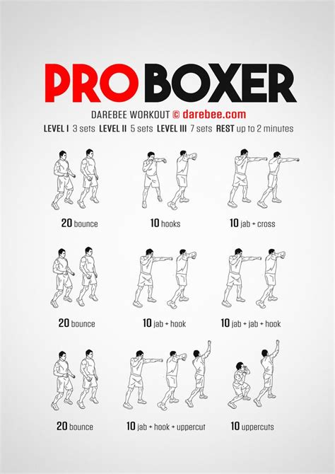Pro Boxer Workout Boxer Workout Boxing Workout