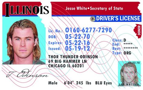 Illinois Il Drivers License Id Viking