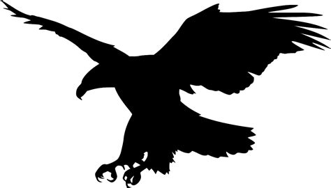 Svg Raubvogel Adler Tier Kostenloses Svg Bild Symbol Svg Silh
