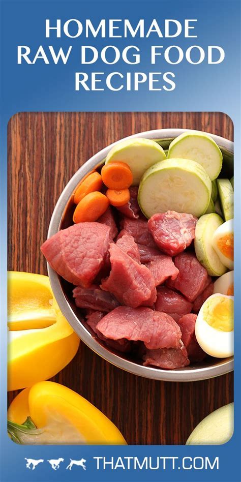 Diy Homemade Raw Dog Food Recipes That Mutt 2022 Raw Dog Food