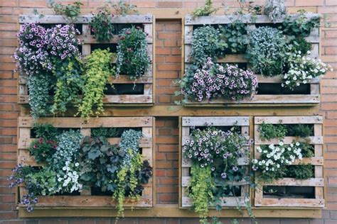 5 Things You Should Know About Green Walls