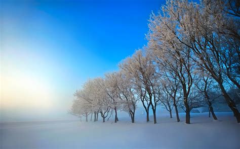 Snow Freedomhd Wallpapers Winter Colourfull Landscape