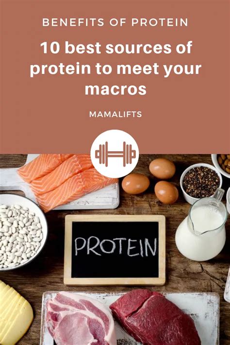 Benefits Of Protein High Protein Foods To Meet Your Macros High