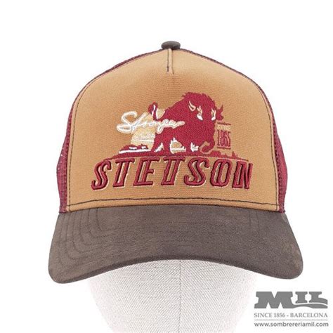Modern And Youthful Stetson Trucker Baseball Cap Stronger Bison Color