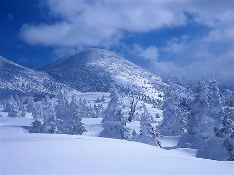 Mountains Snow Snowdrifts Trees Cover White Veil Hd Wallpaper