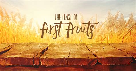 Chapter Three The Feast Of First Fruits Time Warp Wife