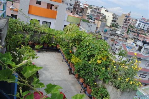 31 Amazing And Inspiring Rooftop Garden Ideas Rooftop Garden