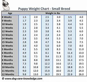 How Big Will My Puppy Get Chart Faedma