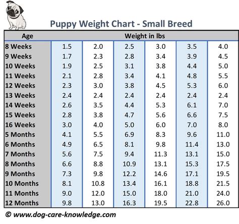 Puppy Weight Chart: This is How Big Your Dog Will Be | Weight charts