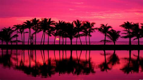 Miami Trees Wallpaper Design Ideas Pink Beach Sunset Hd 1920x1080px