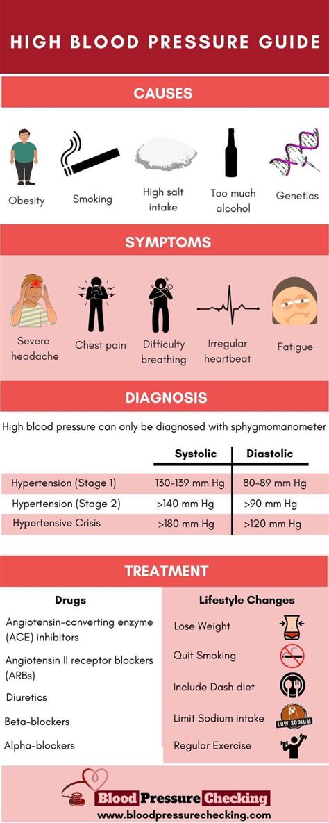 High Blood Pressure Guide Infographic Infographic Plaza
