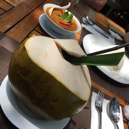 The tree monkey restaurant was a favourite of ours whilst living in penang. Tree Monkey, Batu Ferringhi - Restaurant Reviews, Phone ...