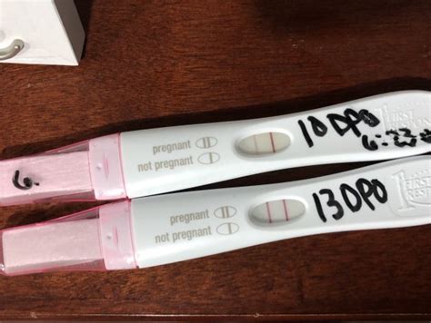 Pregnant Early Pregnancy Pregnant Implantation Bleeding In Toilet Bowl