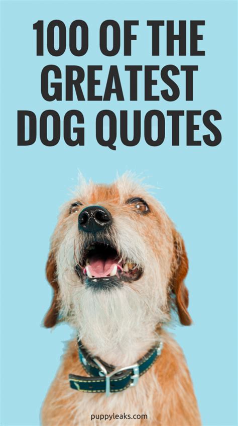 100 Of The Best Dog Quotes Puppy Leaks