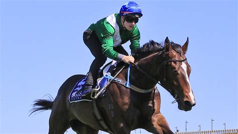 Randwick Races Brad Davidsons Tips And Extended Preview For Epsom Day