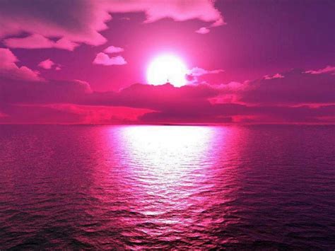 Purple Sunset Sunset Painting Pink Sunset Erofound