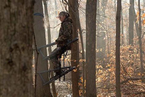 The 11 Best Climbing Tree Stands For Rifle Bow Hunting 2019