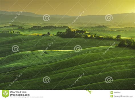 Tuscany Spring Rolling Hills On Misty Sunset Rural Landscape Stock