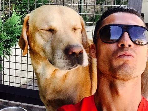 Lustiges Selfie So Cool Ist Cristiano Ronaldos Hund Promiflashde