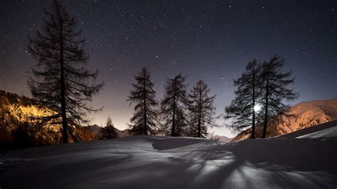 Wallpaper Winter Snow Black Night Sky Moon Trees Landscape