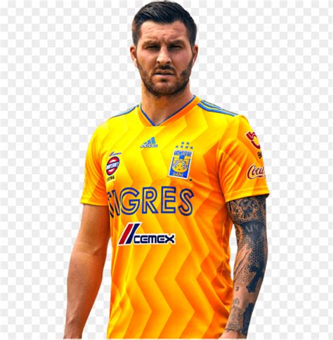 35 ans , international français 🇫🇷 tigre de corazon , tigres uanl⭐️⭐️⭐️🌟🌟🌟🌟 , sang bleu et blanc , a jamais marseillais. Download andré-pierre gignac png images background | TOPpng