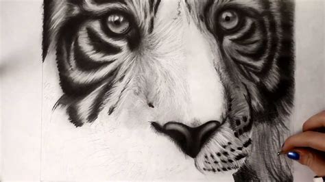 Night scenery white pencil on black paper. White Tiger- pencil drawing - YouTube