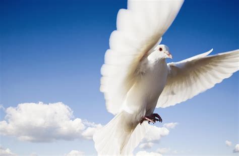 A Prayer for the Seven Gifts of the Holy Spirit
