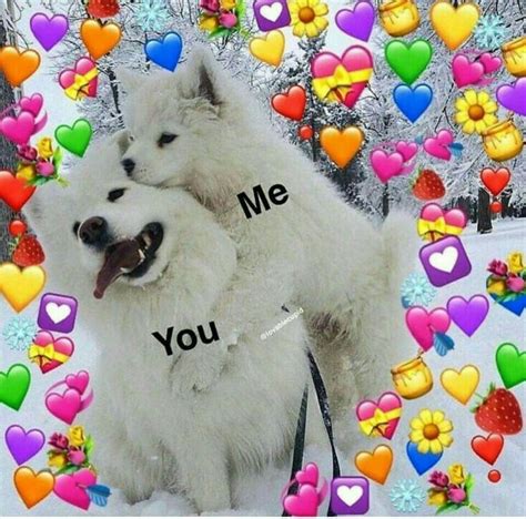 Pin By Cato On Love Cute Love Memes Cute Memes Love Memes