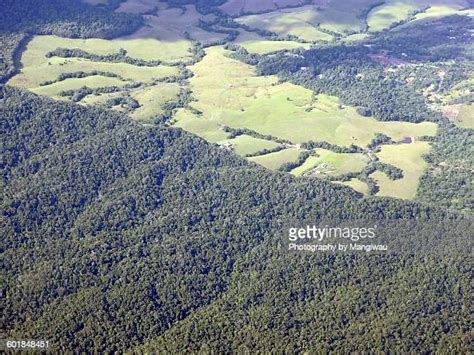 Forest Creek Queensland Photos And Premium High Res Pictures Getty Images