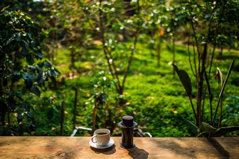 A Tour For Coffee Lovers In Da Lat Vietnam Tourism