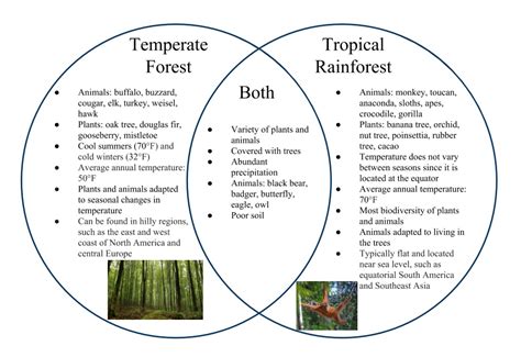 Comparison Tropical Forest