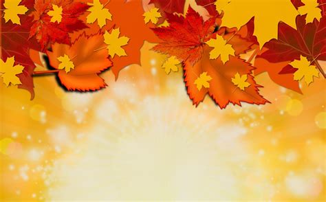 Autumn Fall Background Free Image On Pixabay