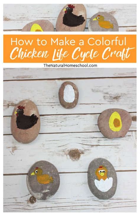How To Make A Colorful Chicken Life Cycle Craft With Kids The Natural