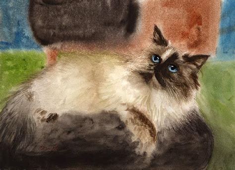Pin On 48 Cats And Art Heavenly Himalayan And Ragdoll Friends