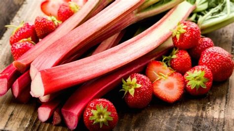 Wie lange kann man Rhabarber ernten Gartentipps und kulinarische