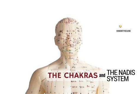 the chakras and the nadis system humanity healing network