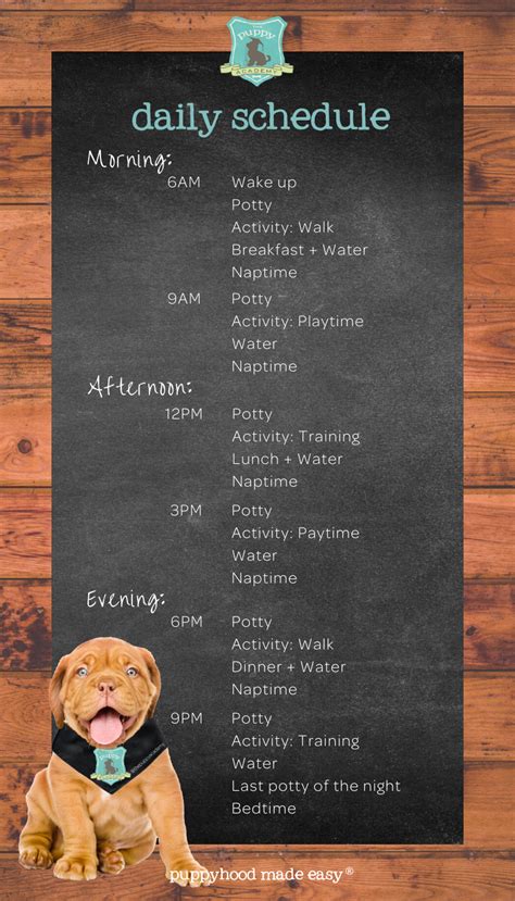 Create A Daily Schedule For Your Puppy — The Puppy Academy Puppy