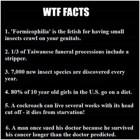 Weird Facts Clipground
