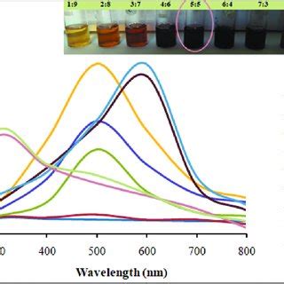 Uv Vis Spectra Of Aunps Synthesised When Treated With Different Ratios