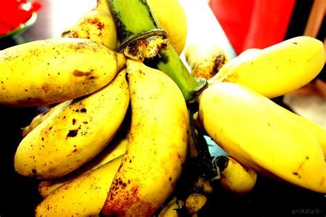 Dapatkan berita terkini mengenai buah+buahan+tempatan dan cari tajuk utama berita terkini mengenai buah+buahan+tempatan dari astro awani. Haszeli's Photos: Buah-Buahan Tempatan - Pisang (Malaysian ...