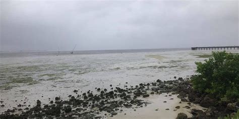 Shorelines Drained In Eerie Effect Of Hurricane Irma